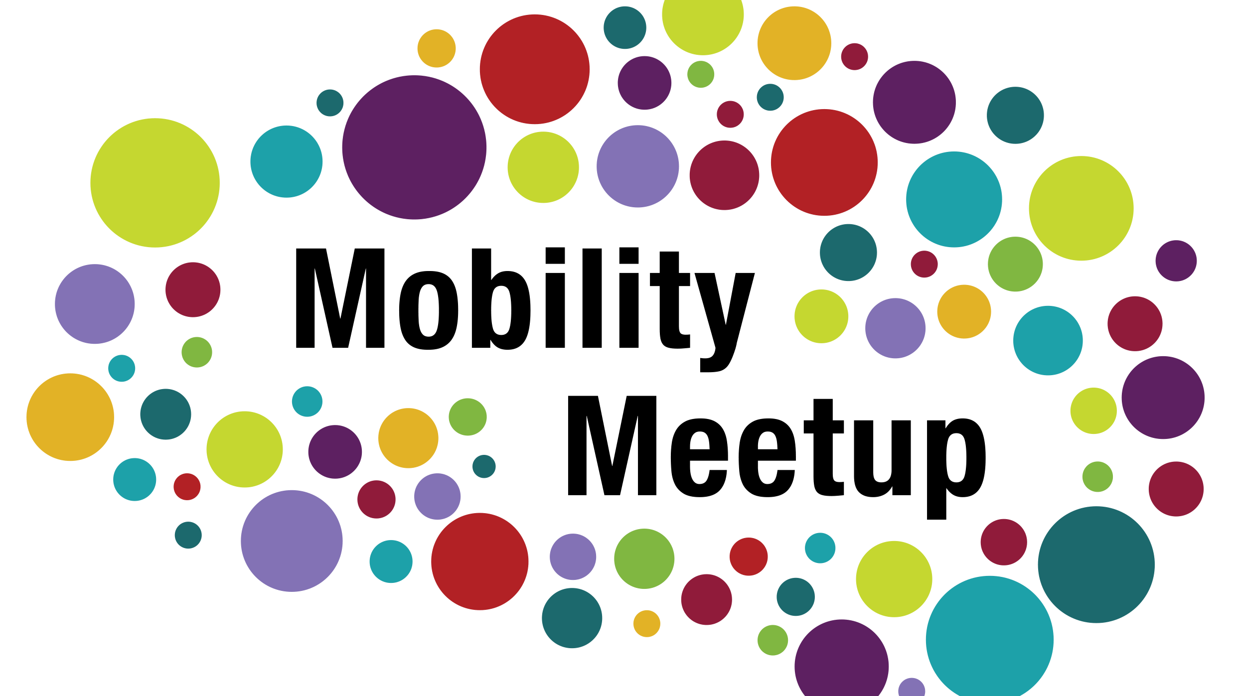 Mobility Meetup. „Personenstromsimulationen – Einsatz zum Crowd-Management und aktuelle Entwicklungen“.