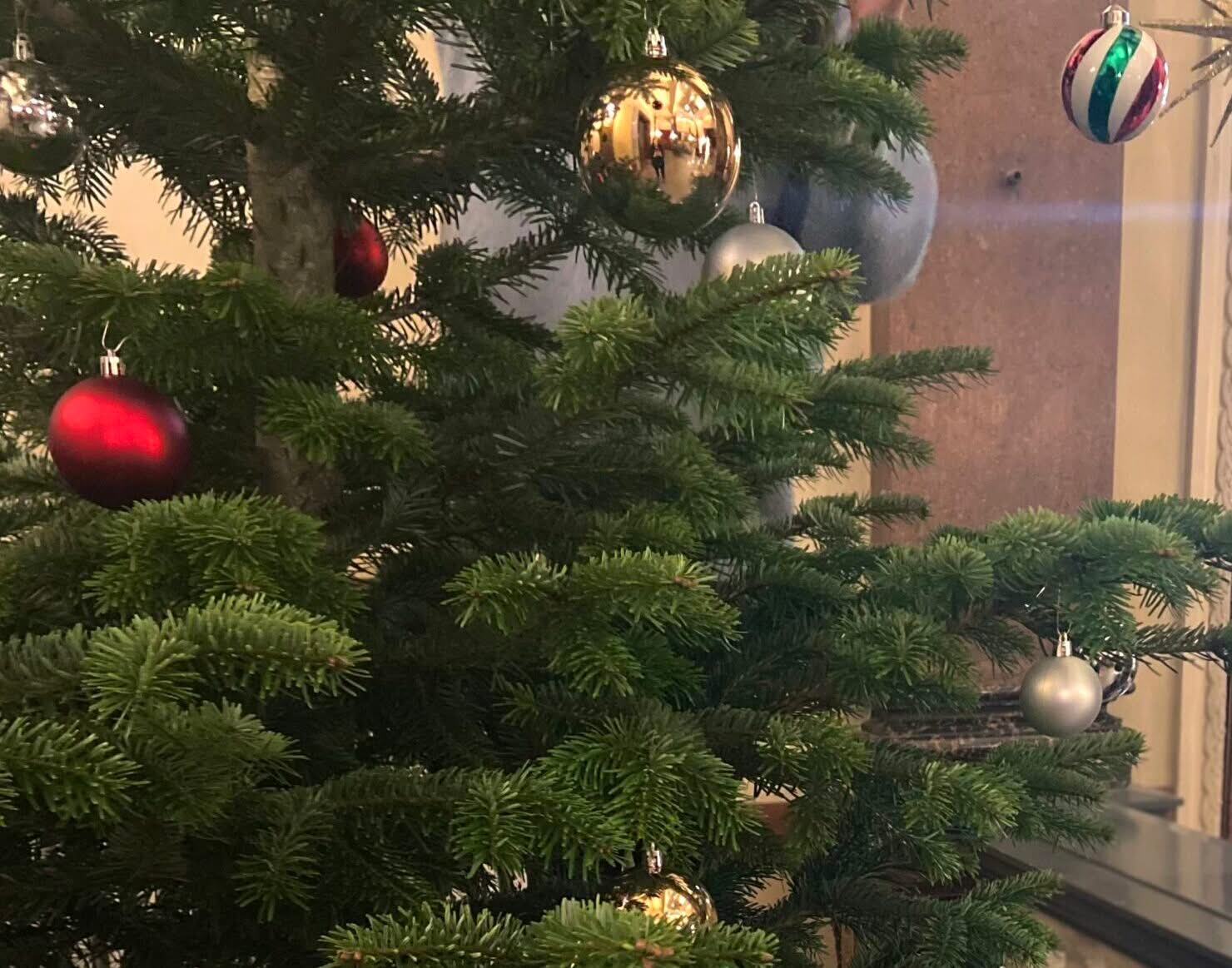 Vorweihnachtszeit für Familien